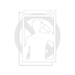 Battle Card - Default - Free Fire Emotes